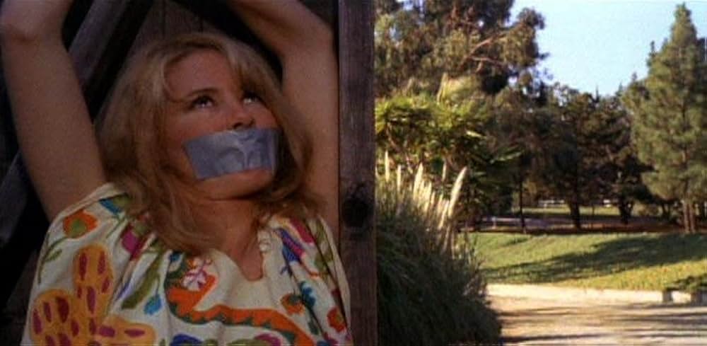 マクブライドの復讐の画像