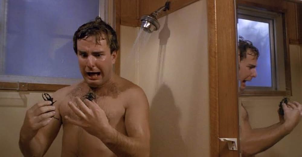 マクブライドの復讐の画像