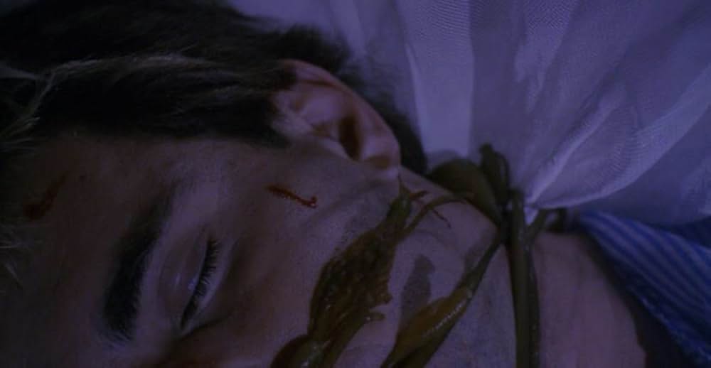 マクブライドの復讐の画像