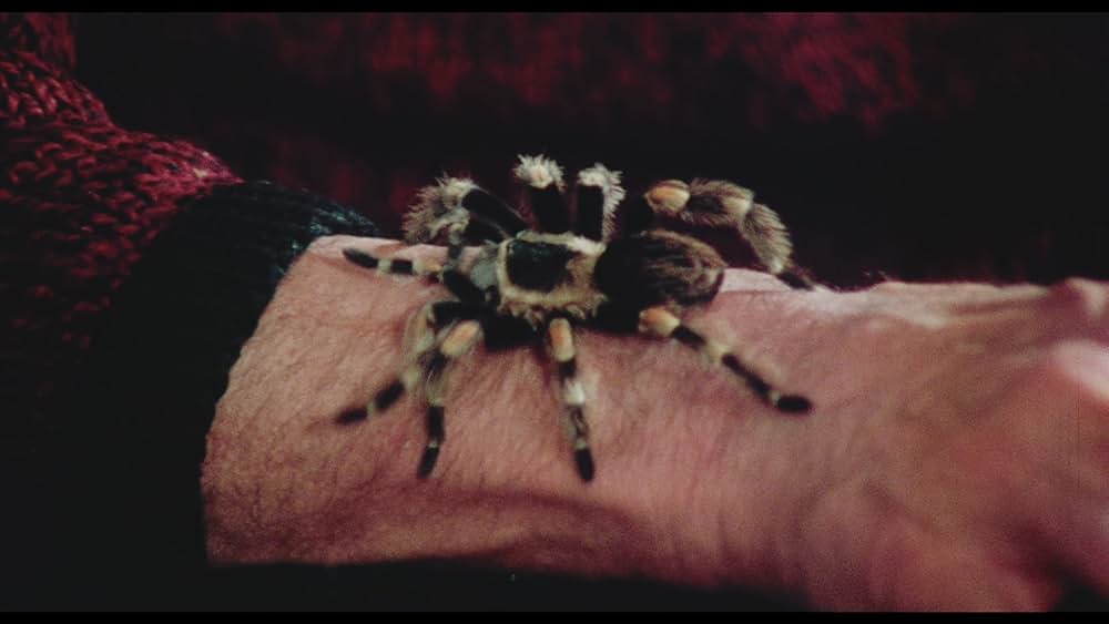 甦る怨霊／魔界少女キャシーの画像