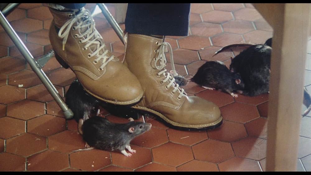 甦る怨霊／魔界少女キャシーの画像