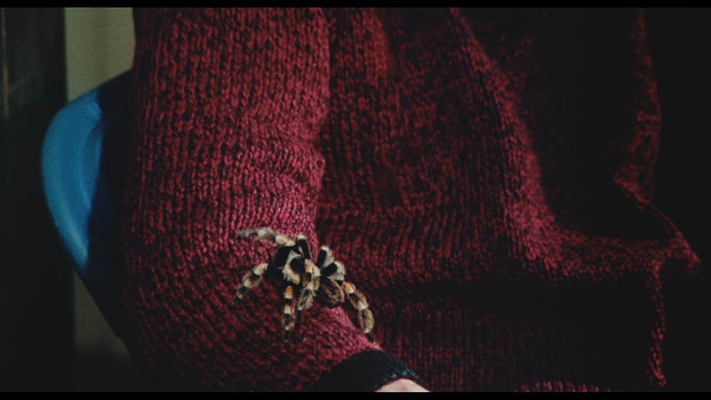 甦る怨霊／魔界少女キャシーの画像