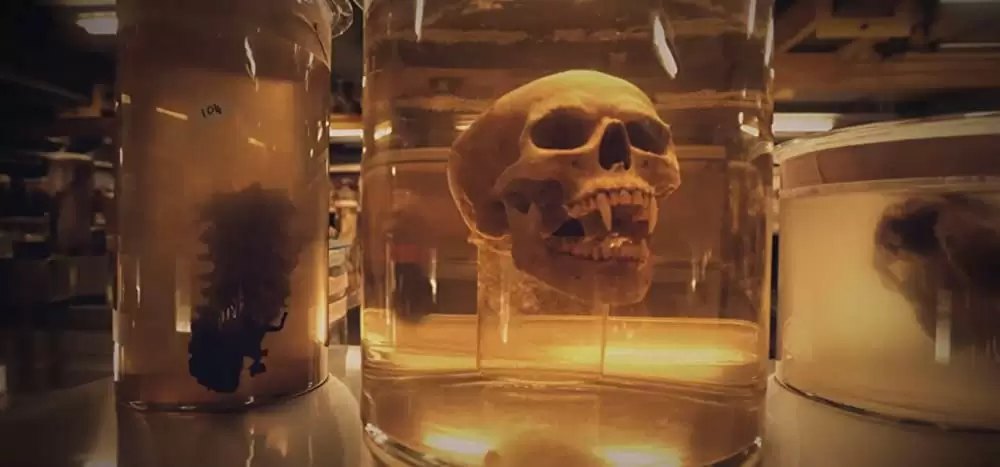 ザ・マミー／呪われた砂漠の王女の画像