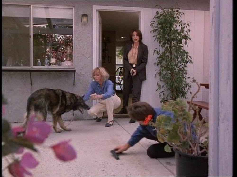 黒の生殖の画像