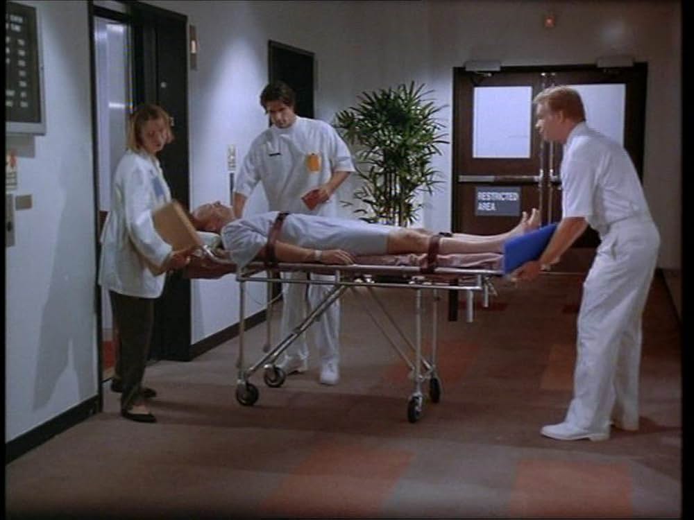 黒の生殖の画像