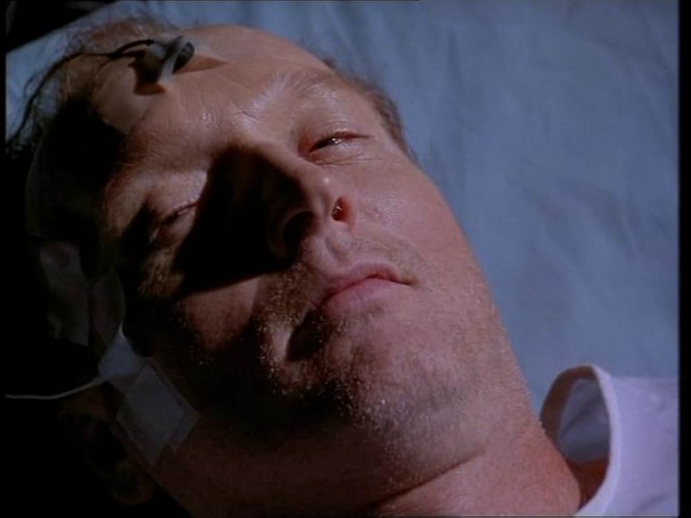 黒の生殖の画像