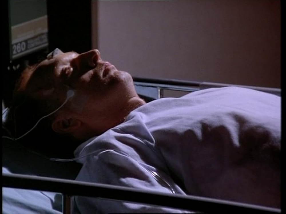 黒の生殖の画像