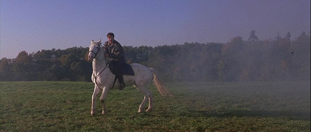 ダドリーの大冒険の画像