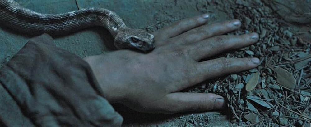 「トゥルー・グリット」の画像