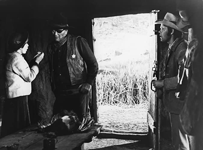 勇気ある追跡の画像