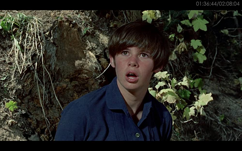 「勇気ある追跡」キム・ダービーの画像