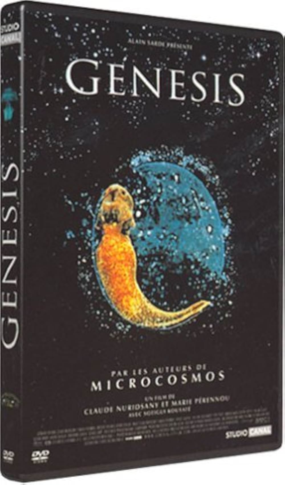 グレート・ビギンの画像