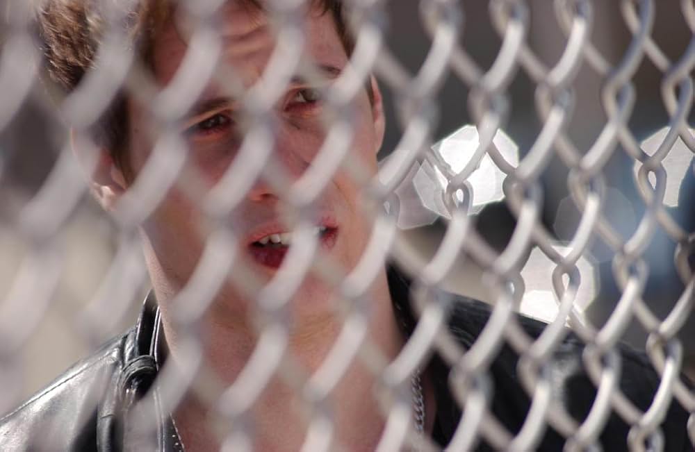 シュガーの画像