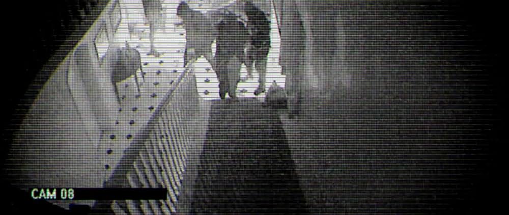 タイガー・ハウスの画像