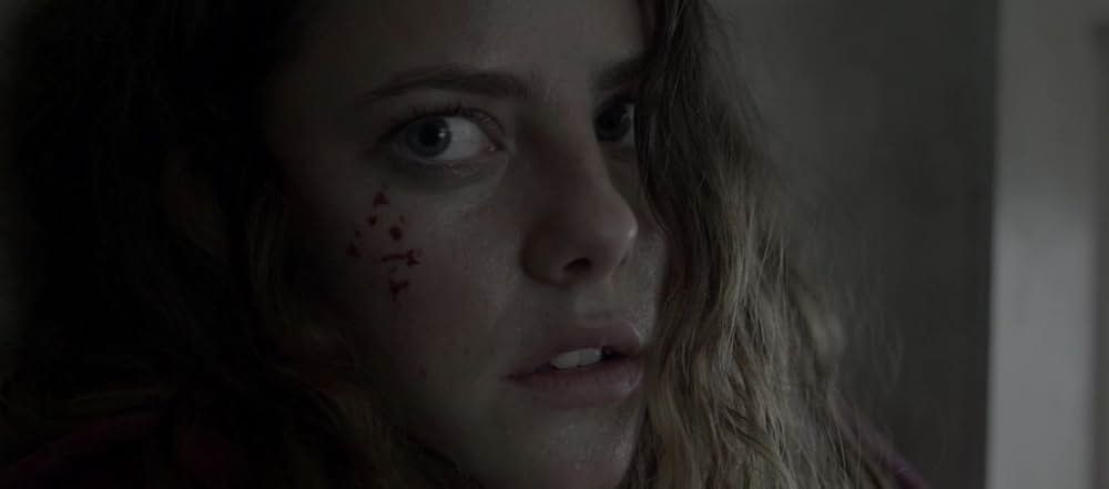 タイガー・ハウスの画像