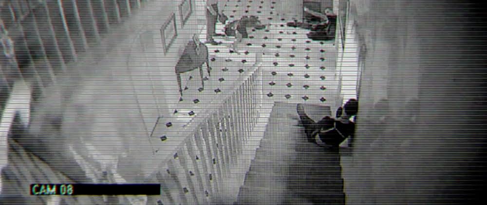 タイガー・ハウスの画像