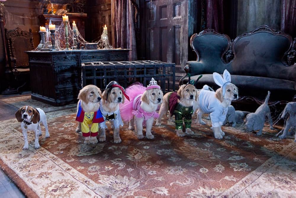 ゴースト・バディーズ／小さな５匹の大冒険の画像