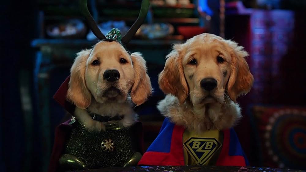 ゴースト・バディーズ／小さな５匹の大冒険の画像