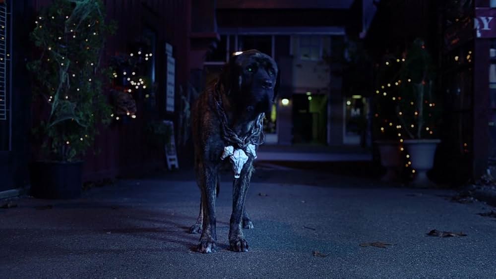 ゴースト・バディーズ／小さな５匹の大冒険の画像