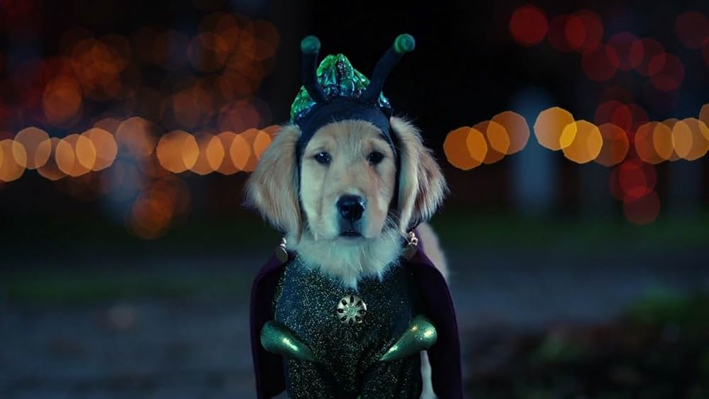 ゴースト・バディーズ／小さな５匹の大冒険の画像