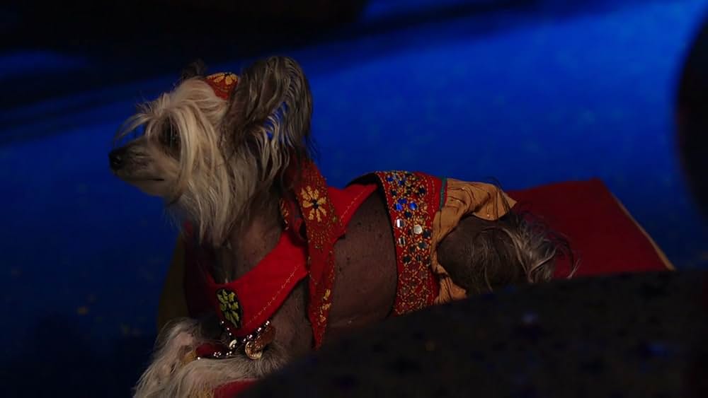 ゴースト・バディーズ／小さな５匹の大冒険の画像