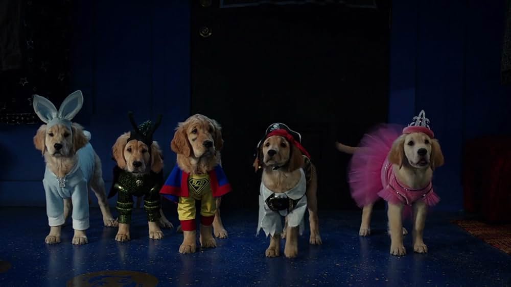 ゴースト・バディーズ／小さな５匹の大冒険の画像