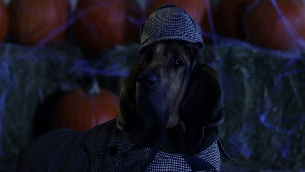 ゴースト・バディーズ／小さな５匹の大冒険の画像