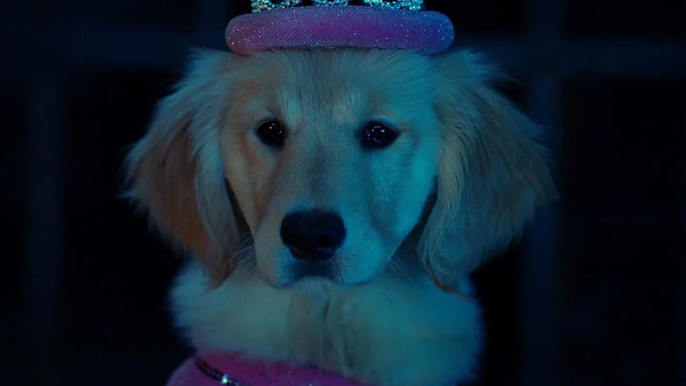 ゴースト・バディーズ／小さな５匹の大冒険の画像