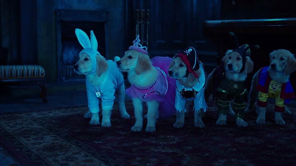 ゴースト・バディーズ／小さな５匹の大冒険の画像