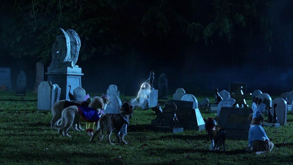 ゴースト・バディーズ／小さな５匹の大冒険の画像