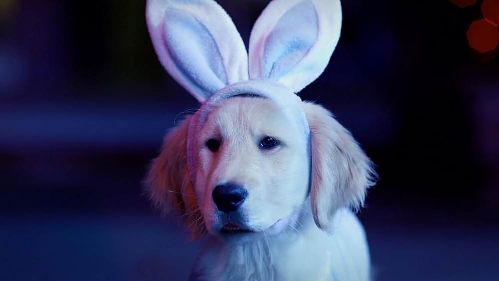 ゴースト・バディーズ／小さな５匹の大冒険の画像