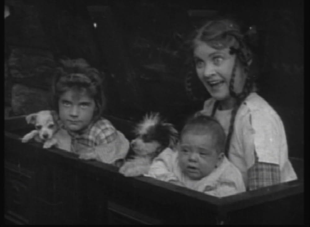 エルダーブッシュ峡谷の戦いの画像