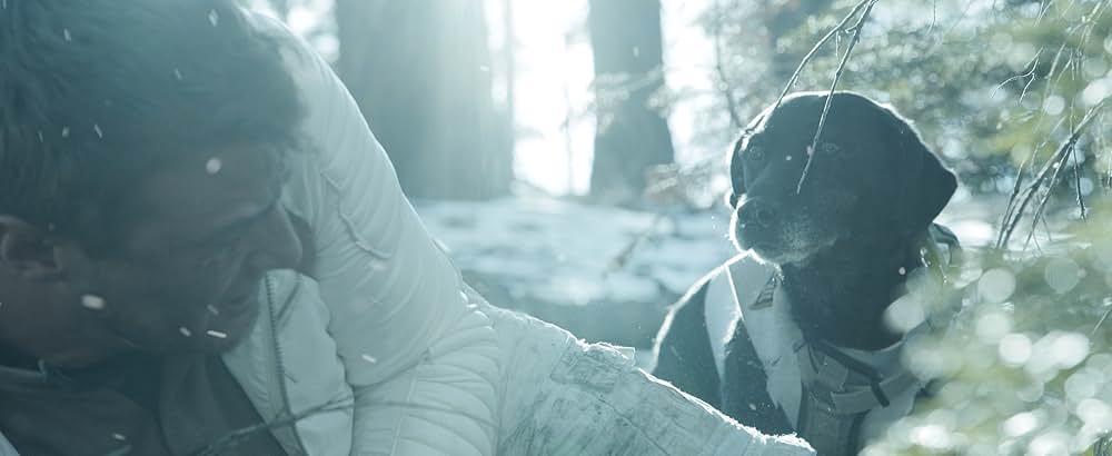 惑星エリプス 不時着の画像