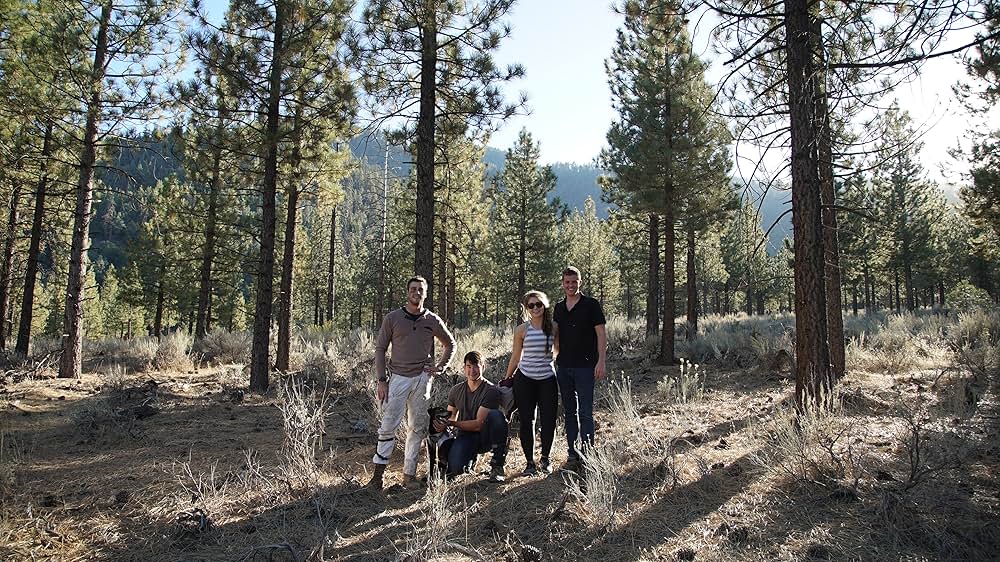 惑星エリプス 不時着の画像