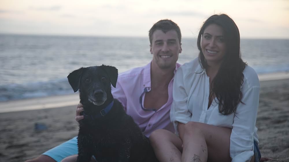 惑星エリプス 不時着の画像