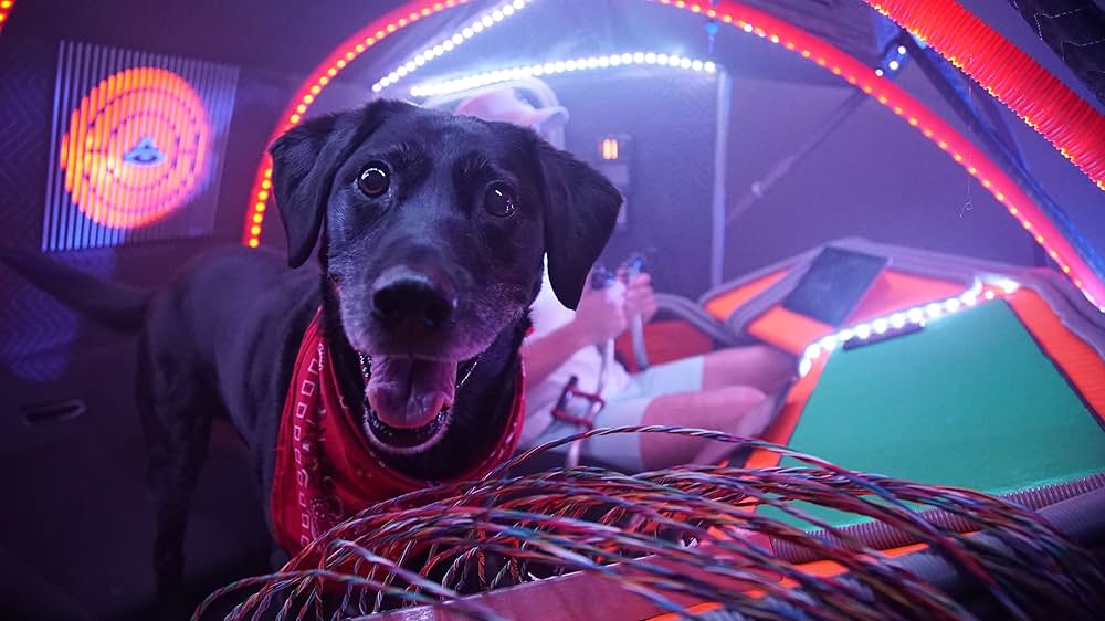 惑星エリプス 不時着の画像