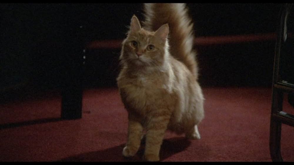 異型生命体ファングの画像