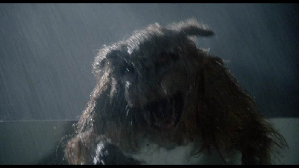 異型生命体ファングの画像