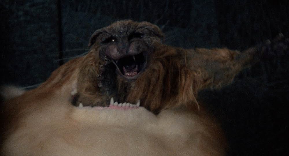 異型生命体ファングの画像