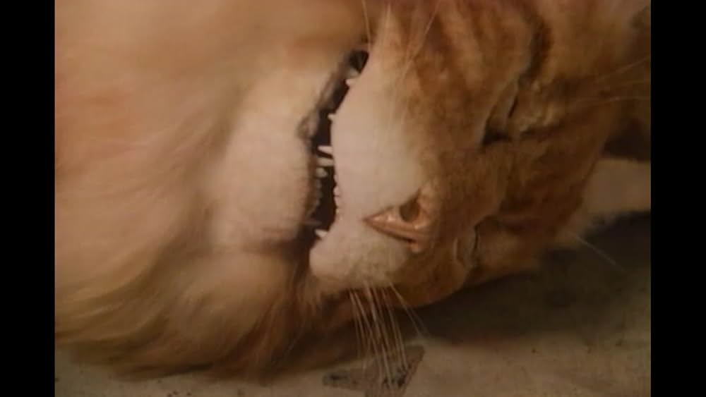 異型生命体ファングの画像