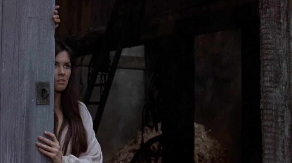 吸血鬼ハンターの画像