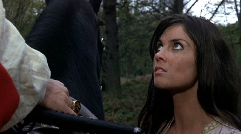 吸血鬼ハンターの画像