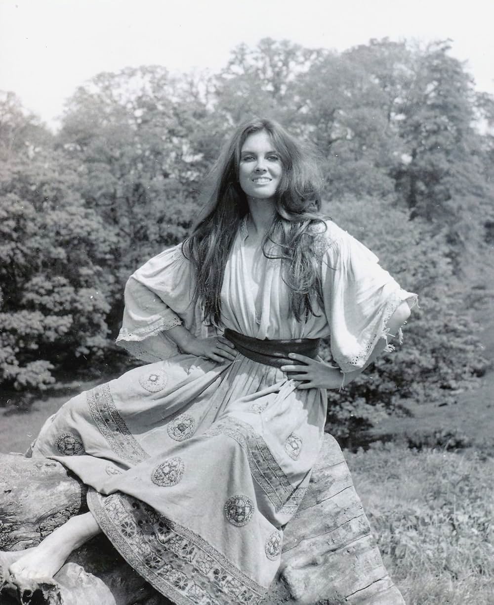 吸血鬼ハンターの画像