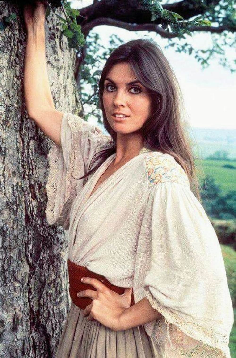 吸血鬼ハンターの画像