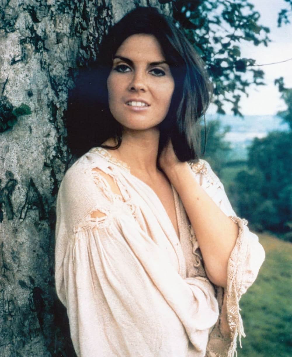 吸血鬼ハンターの画像