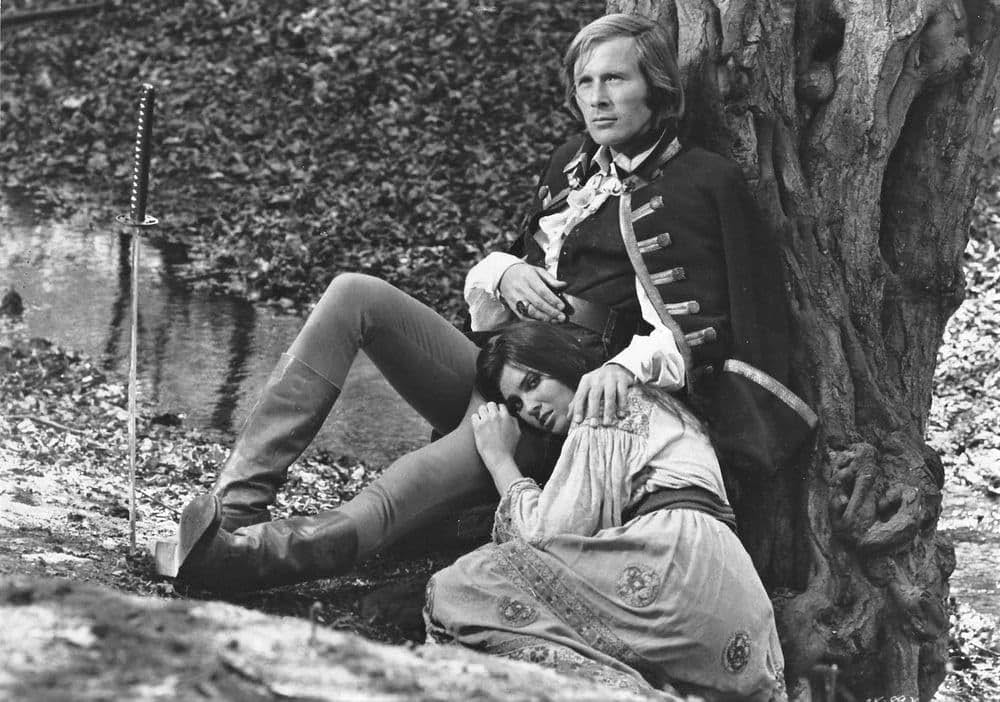 吸血鬼ハンターの画像