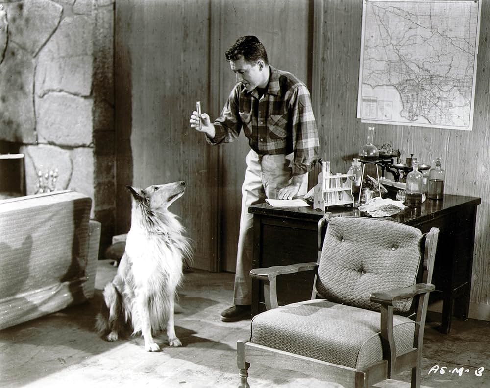 女宇宙怪人OXの画像