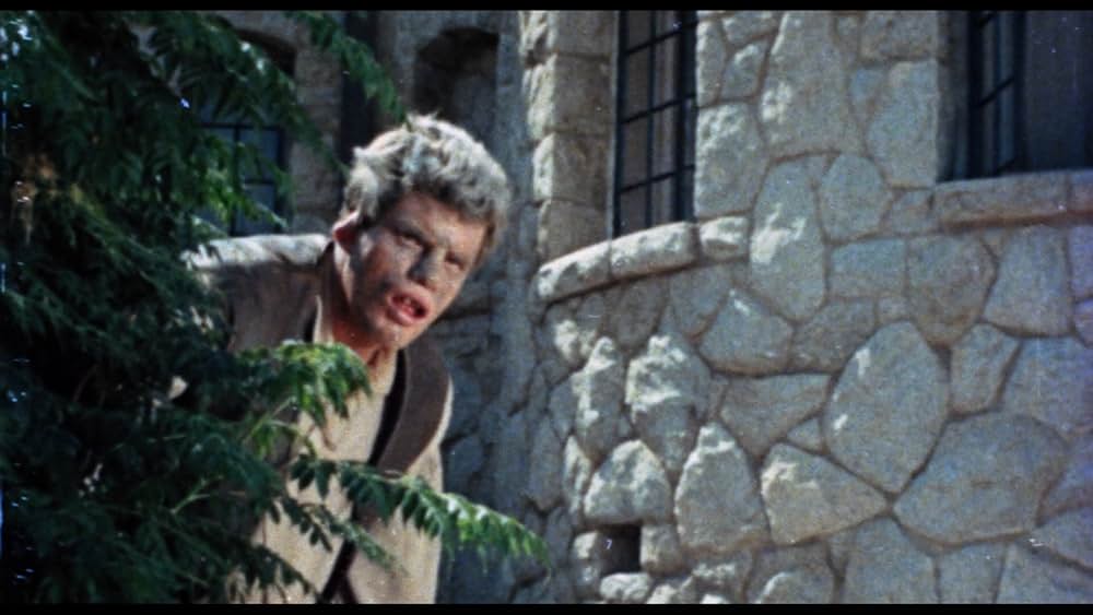 ドラキュラの館の画像