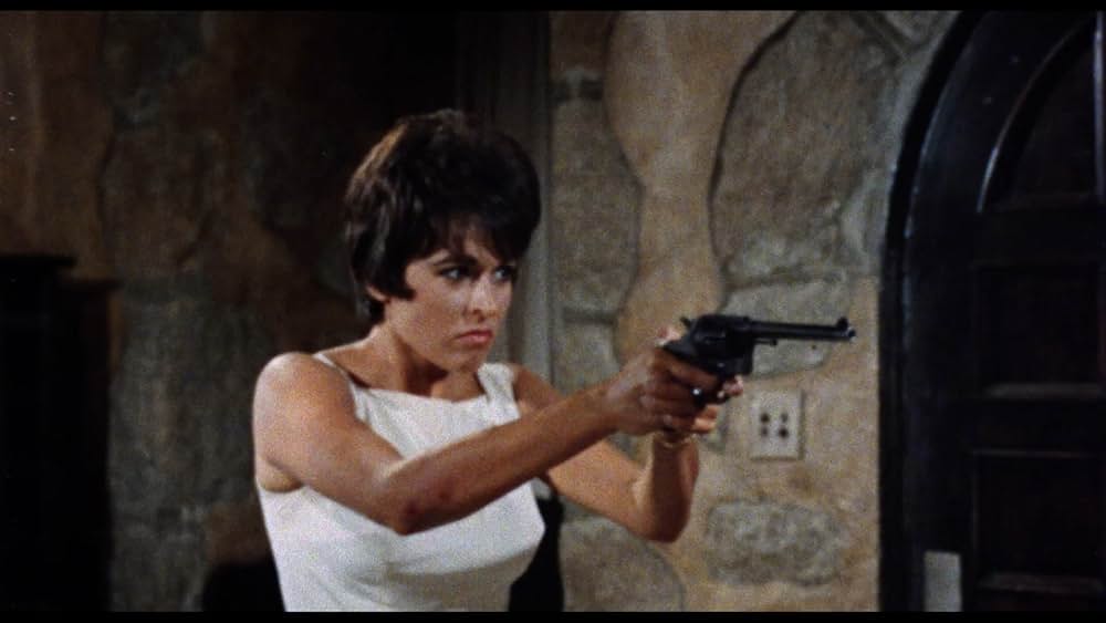 ドラキュラの館の画像