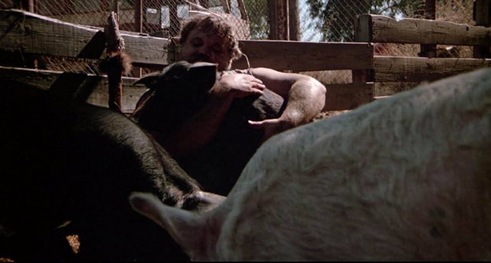 スローター・ハウス／13日の仏滅三隣亡の画像